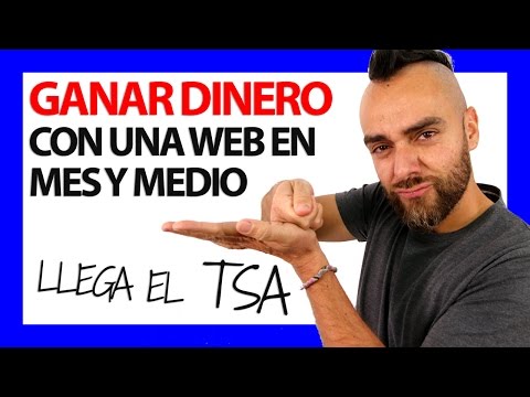 CÓMO GANAR DINERO POR INTERNET EN MES Y MEDIO (TSA) - #RomuTV