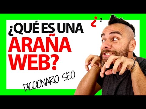 ¿Qué es una ARAÑA WEB?