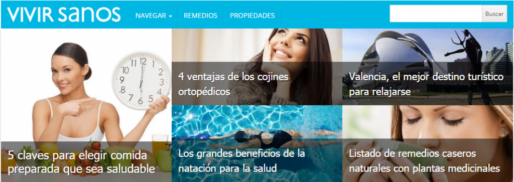 Web style vivir sanos logo-vivir-sanos