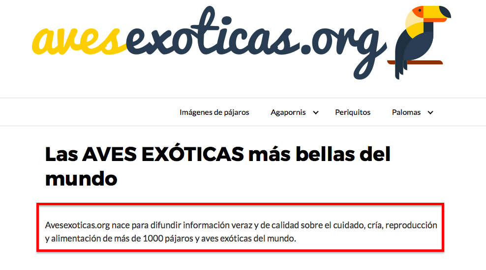 posicionar página home sin texto