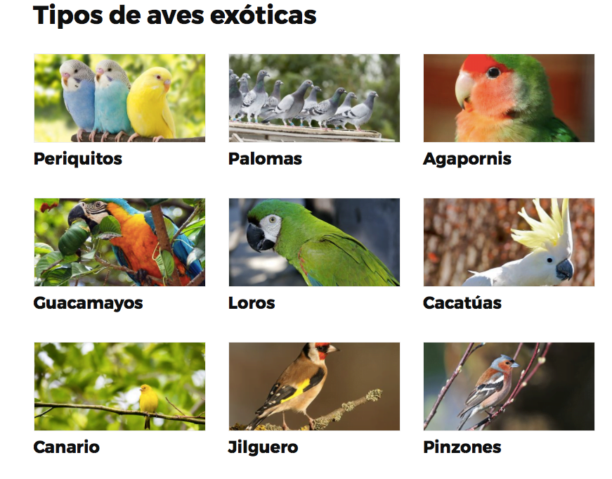 navegación web por clusters