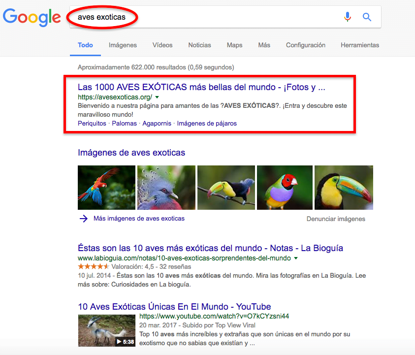 cómo posicionar sin enlaces