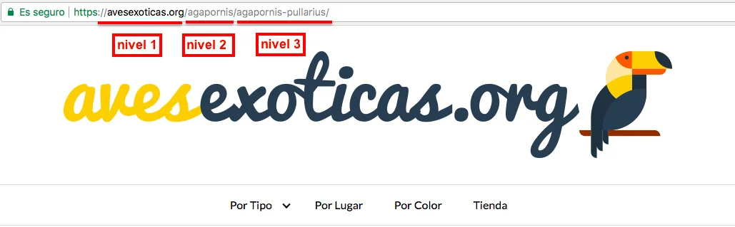 Estructura SILO de URLs