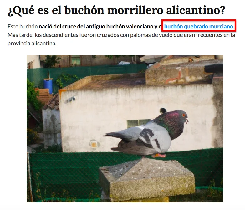 ejemplo de interlinking con variaciones de keywords